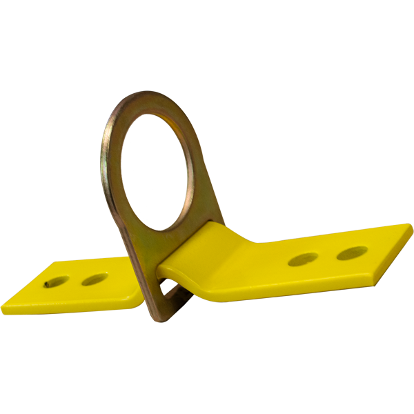 1701 - Anchor plate with D-ring