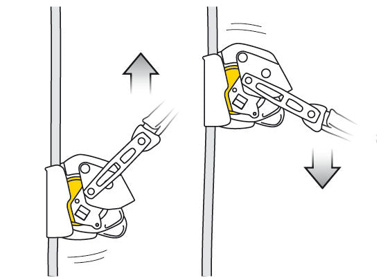 PETZL ASAP LOCK mobile Fall Arrester Back-Up Device ANSI