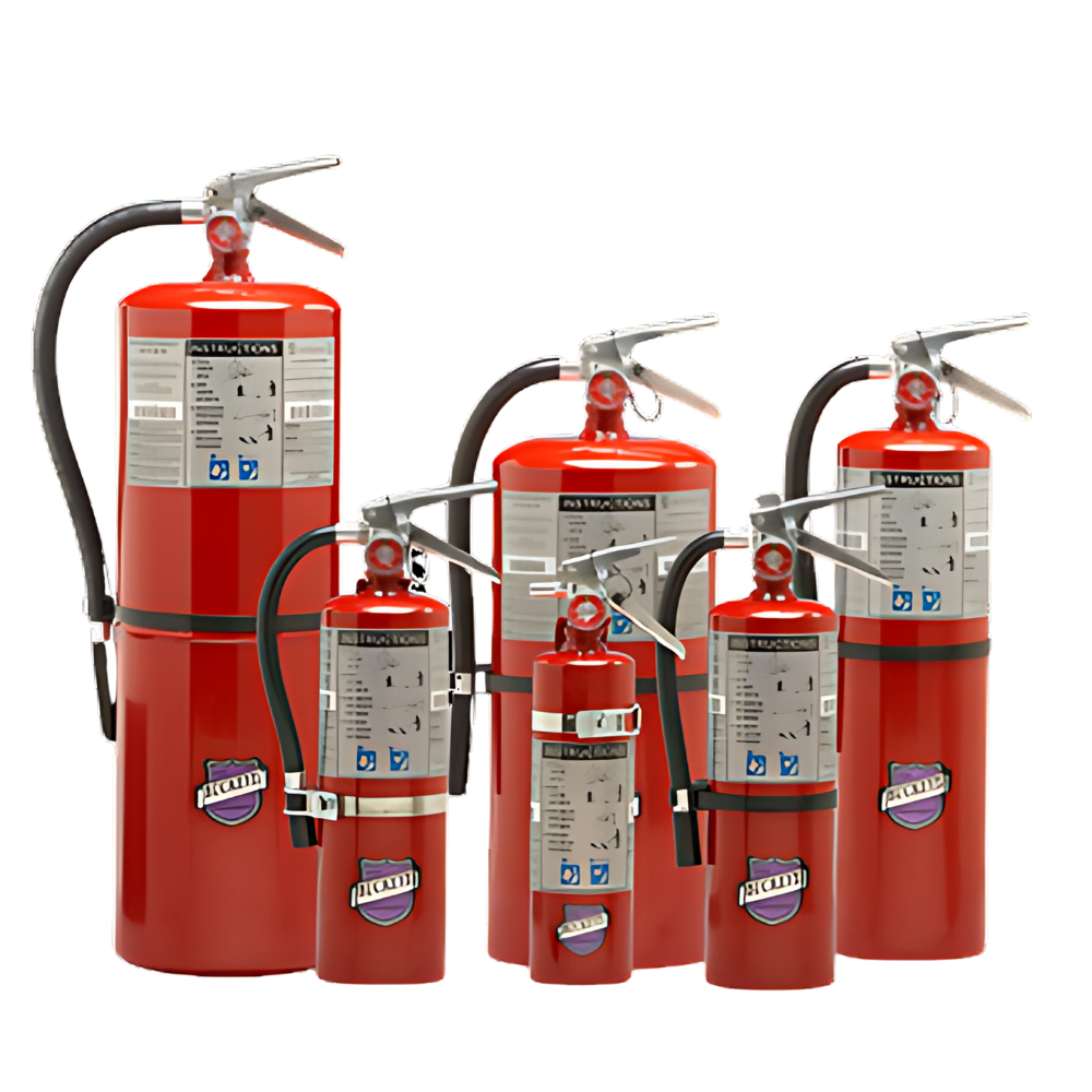 Purple K Dry Chemical Fire Extinguisher