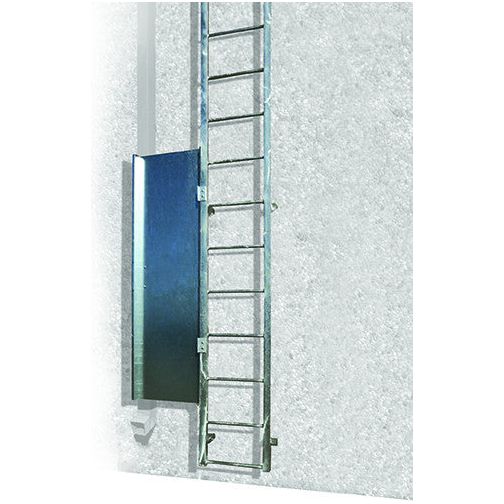 Blue Water Ladder Guard – Industrial Ladder Security Door System